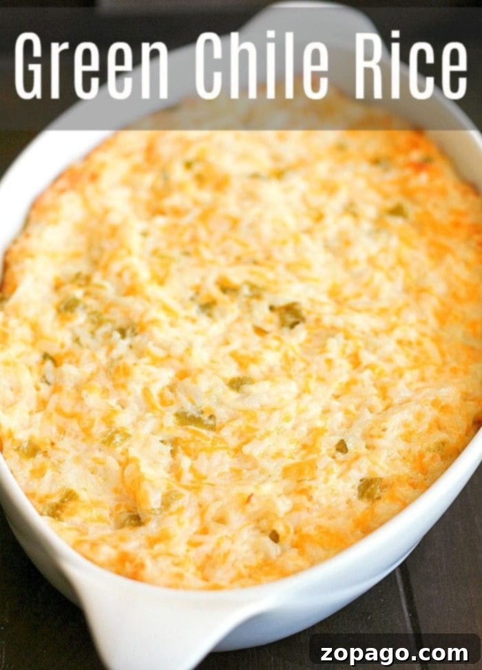 Velvety Green Chile Rice 9 green chile rice