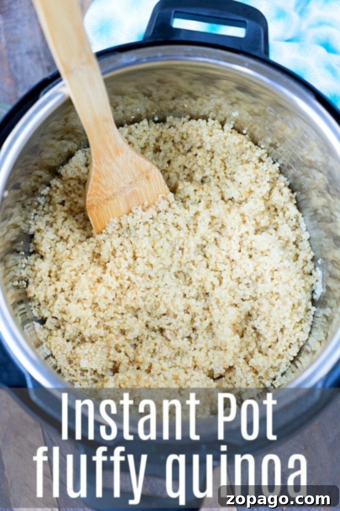 Perfect quinoa in your pressure cooker or slow cooker. You can make it on your stove top too and it will come out nice and fluffy! #pressurecooker #instantpot #slowcooker #crockpot #quinoa #instantpotrecipes #thetypicalmom Perfectly cooked quinoa in a pressure cooker, versatile for stovetop or slow cooker methods too.