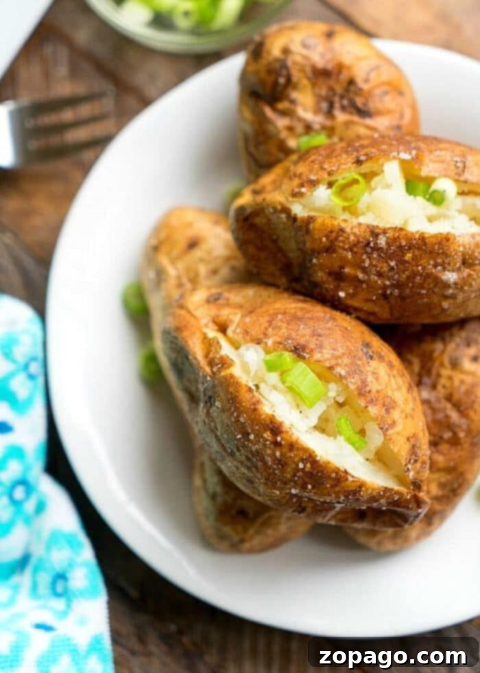 Delicious Potato Creations 7 Best Way to Make Baked Potatoes - a classic side dish