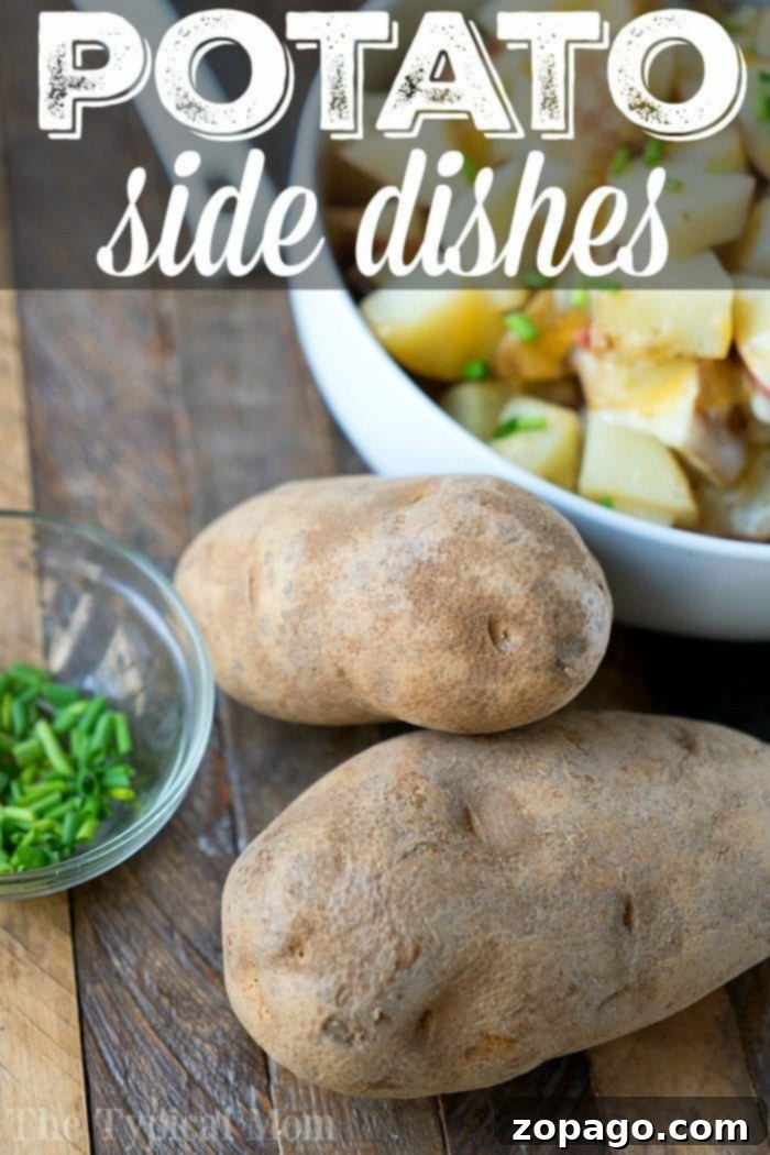 The best easy potato recipe ideas for breakfast, dinner and side dishes! From the best way to cook potatoes to totally loaded soups and meals you'll be set. #potato #sidedishes #dinner #recipes #breakfast #easy #brunch #baked #potatoes #best Diverse potato recipe ideas for every occasion