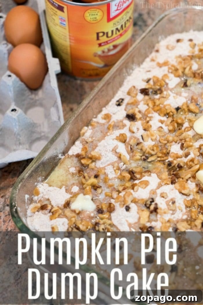 Fall flavors come alive with this easy pumpkin pie dump cake, needing just 5 basic ingredients! Topped with ice cream, it's pure heaven! #pumpkin #pumpkinpie #dessert #dumpcake #cake #fall Delicious and easy pumpkin dump cake recipe, perfect for Fall, served with a scoop of vanilla ice cream. Made with just 5 ingredients.