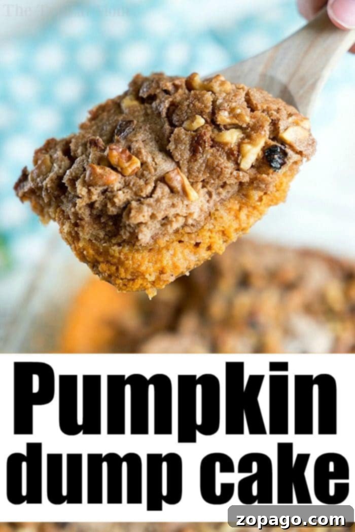 Pumpkin pie dump cake needs just 5 basic ingredients! Topped with ice cream it's heaven! #pumpkin #pumpkinpie #dessert #dumpcake #cake #fall #pumpkinrecipes #pumpkinspice A slice of pumpkin pie dump cake, a simple and delicious Fall dessert made with 5 ingredients, served with whipped cream.