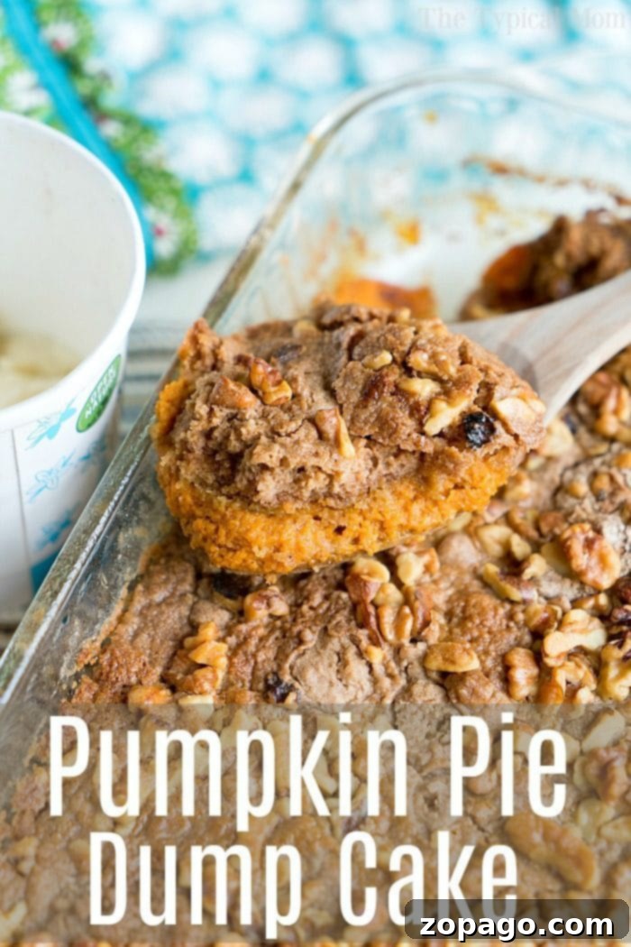 If you're ready for Fall flavors you've got to try this easy pumpkin pie dump cake that needs just 5 basic ingredients! Topped with ice cream it's heaven! #pumpkin #pumpkinpie #dessert #dumpcake #cake #fall Close-up of a warm slice of pumpkin pie dump cake with a dollop of whipped cream, perfect for Fall dessert.