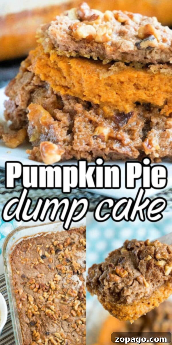 If you're ready for Fall flavors you've got to try this easy pumpkin pie dump cake that needs just 5 basic ingredients! Topped with ice cream it's heaven! #pumpkin #pumpkinpie #dessert #dumpcake #cake #fall Close-up of pumpkin pie dump cake with chopped walnuts, shown in slices and a baking dish—this easy pumpkin pie dump cake is topped with crunchy walnuts for a perfect fall treat.