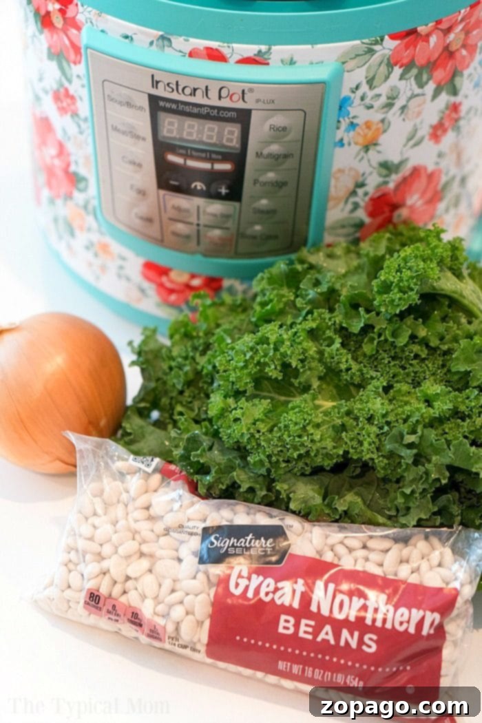Pressure cooker sausage soup is packed with flavor and can be made with or without kale. Using canned or dry beans it's the perfect dinner. A serving of hearty Instant Pot sausage kale bean soup garnished with grated cheese, ready to be enjoyed.