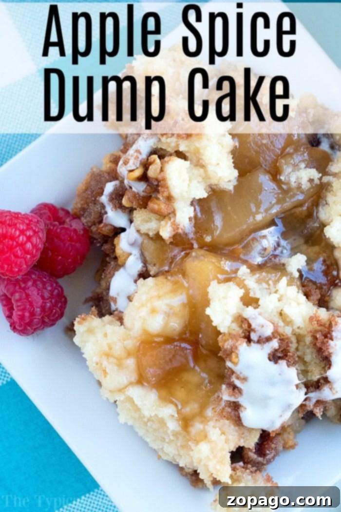 This apple spice dump cake is easy to throw together, creating a warm cinnamon coffee cake like dessert in no time. Close-up of apple spice dump cake on a plate with raspberries, showcasing its crumbly texture and visible apple filling.