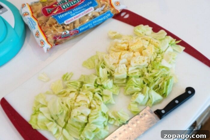 Lightning-Fast Cabbage Fry 3 A bowl of pressure cooker cabbage and noodles, illustrating another delicious way to enjoy cabbage.