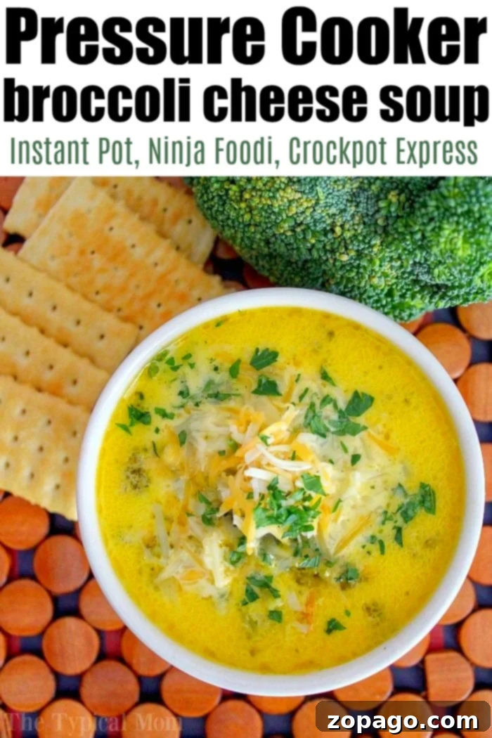 Ninja Foodi or Instant Pot Broccoli Cheese Soup, ready to serve.