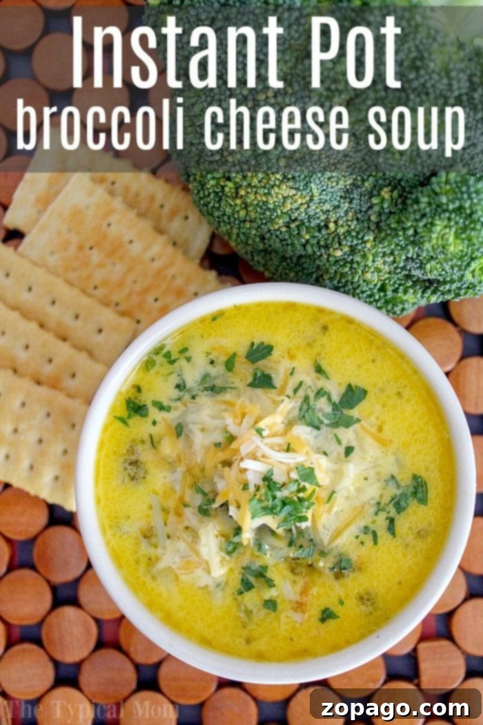 Easy Pressure Cooker Broccoli Cheese Soup, steaming and hot.