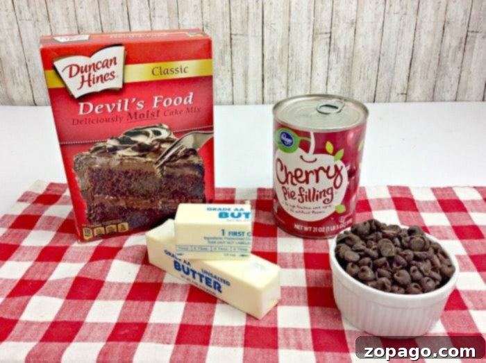 This 3-ingredient pressure cooker chocolate lava cake is an incredibly easy and delicious dump cake, ideal for any electric pressure cooker enthusiast. A simple yet elegant easy chocolate dump cake, rich in flavor and moist in texture, perfect for a quick pressure cooker dessert.