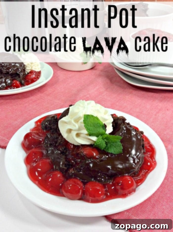 A pressure cooker chocolate lava cake, an incredible 3-ingredient dump cake, featuring a tempting molten center and delicious cherry notes. Close-up of a pressure cooker chocolate lava cake, showcasing its rich, molten chocolate interior and tender texture.