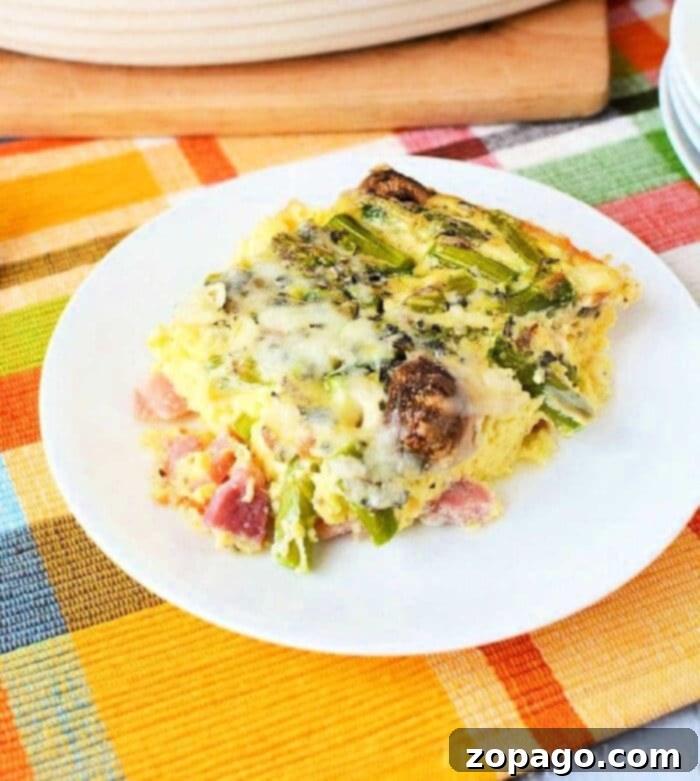 Creamy Asparagus Bake 2 A golden-brown slice of cheesy asparagus egg casserole, perfectly portioned on a white plate with a vibrant plaid tablecloth underneath.