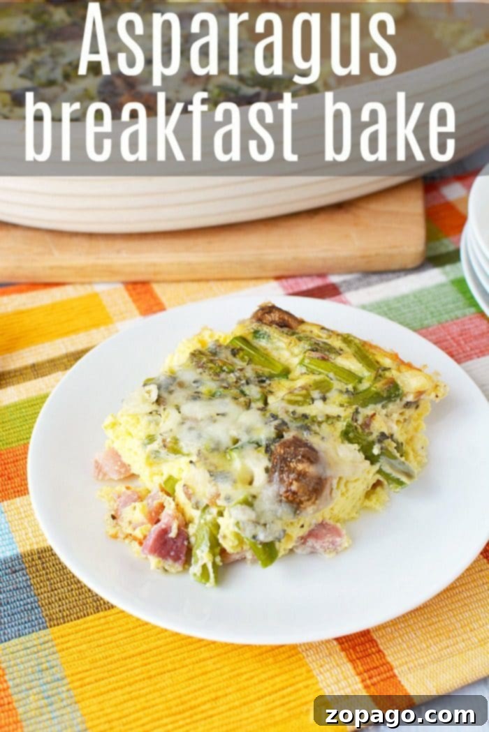 A delightful cheesy asparagus casserole, perfect for breakfast or brunch. A serving of Asparagus Casserole with a generous sprinkle of cheese on top, ready to be enjoyed.