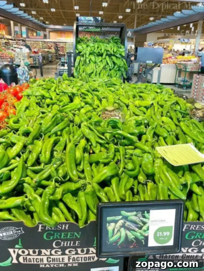 Sausage and Rice Comfort Bake 3 A large display of fresh green chile peppers at a grocery store features a sign reading "Hatch Chile $1.99 per lb." A conveyor belt above adds more chiles to the pile, perfect for your next Instant Pot sausage rice casserole. Other produce is visible in the background.