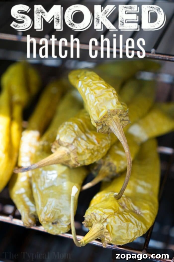 Smoked chiles are great on burgers and in casseroles! Using fresh hatch chiles the smoked taste brings it to a whole new level of yum! #smoked #chiles #hatch #recipes #hatchchiles #smokedchiles Smoked Hatch Chiles ready to be used in various recipes