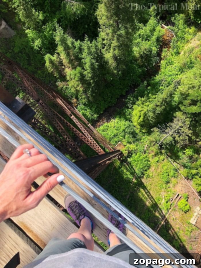 Views of the Hiawatha bike trail are here from a family who travels together a lot! North of Couer d'Alene this is an epic bike ride you have got to take. #hiawatha #bike #trail #route #pictures #video #idaho #best #couerdalene #north Scenic View from a Hiawatha Bike Trail Trestle