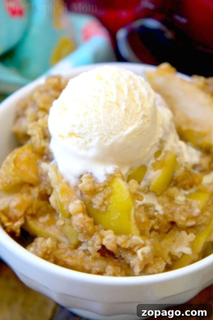 Delicious crockpot apple crisp, a perfect comforting dessert. crockpot apple crisp
