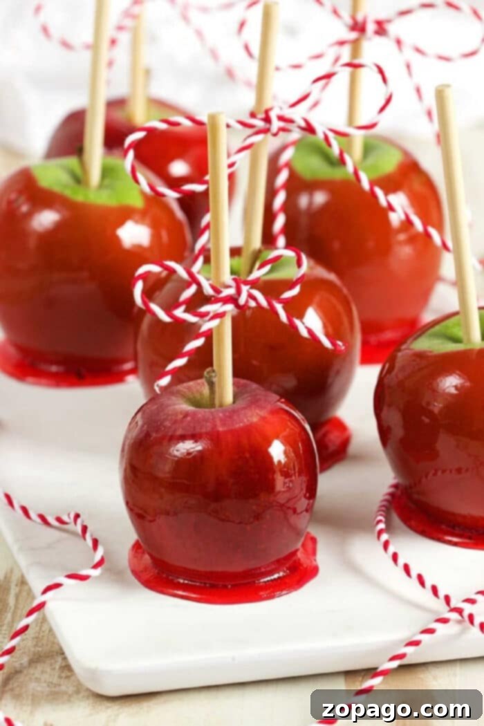 Discover over 30 fresh apple recipes for every meal. What to Make with Apples