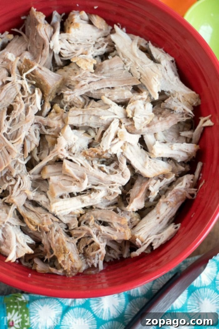 Slow Cooker Dr Pepper Pulled Pork 3 Preparing pulled pork with seasonings and liquid