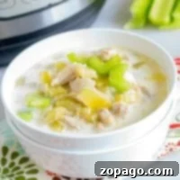 Instant Pot celery soup 2