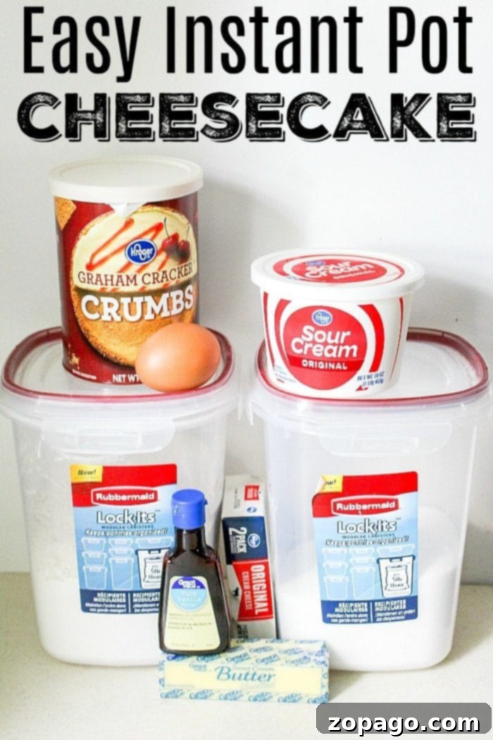 Easy Instant Pot Cheesecake Recipe for Beginners A beautifully sliced Instant Pot cheesecake with fresh fruit topping, showcasing its creamy texture.
