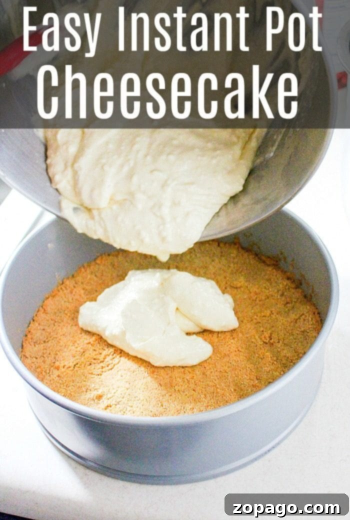 Easy Instant Pot Cheesecake for Beginners Close-up of a pressure cooker cheesecake, showcasing its smooth top and golden-brown graham cracker crust, a perfect easy dessert.
