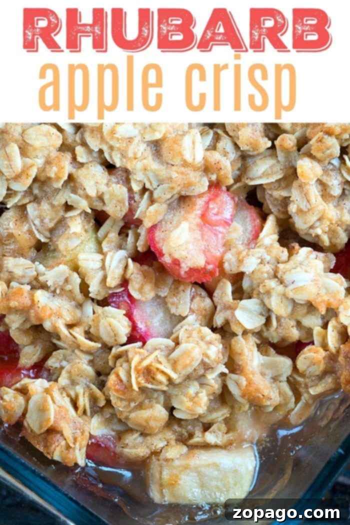Homemade Rhubarb Crisp with Oatmeal Close-up of a rustic rhubarb crisp with oatmeal topping, showcasing its golden-brown texture and fruity filling.
