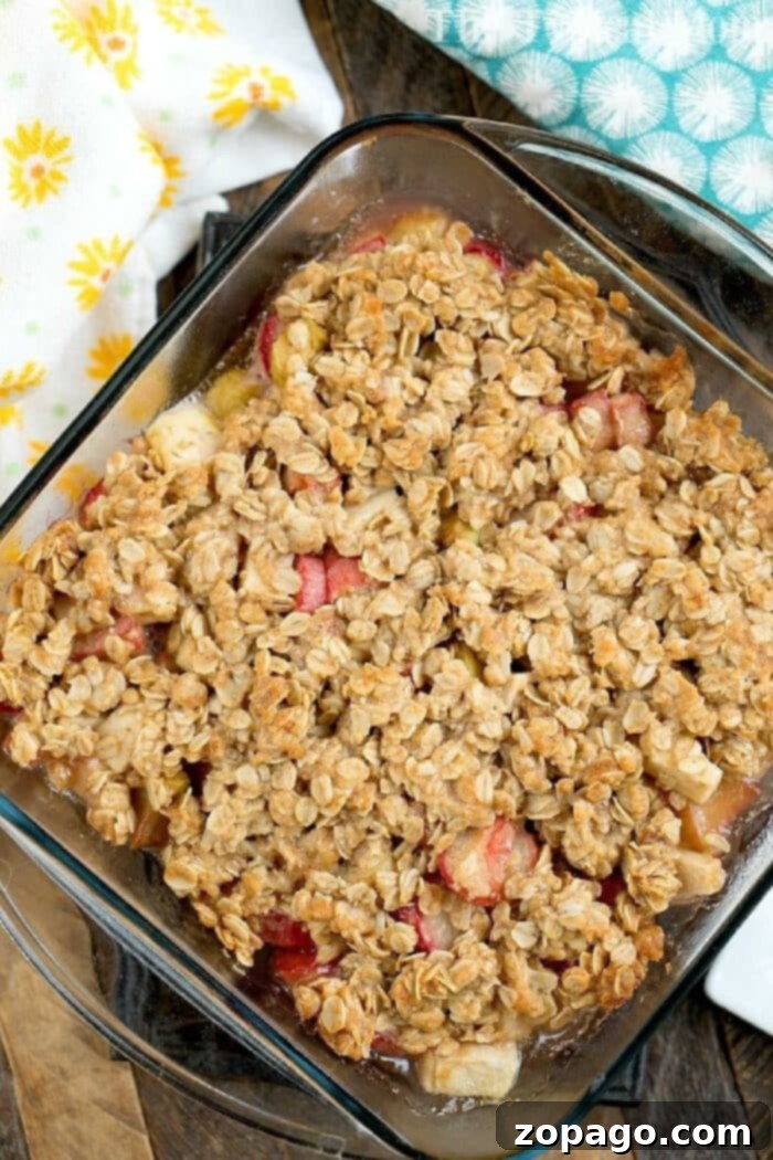 Fresh Rhubarb Crisp Dessert Freshly baked apple rhubarb crisp with steam gently rising, ready to be served.