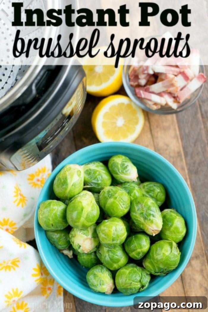 Experience the ease of pressure cooking with this Instant Pot brussel sprouts and bacon recipe – a side dish masterpiece. #brussels #instantpot #pressurecooker #brusselsprouts #vegetables #bacon #instantpotrecipes #thetypicalmom Pressure cooker brussel sprouts with bacon