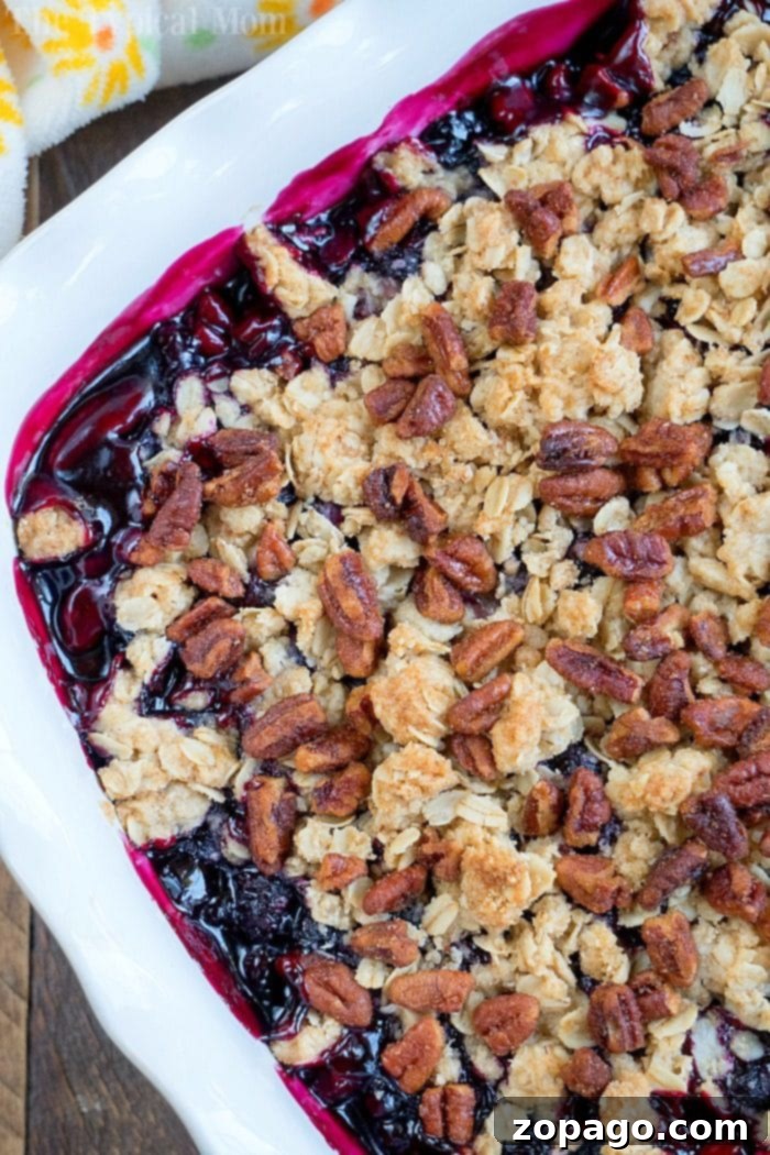 Easy Huckleberry Cobbler with Oat Pecan Crumble A vibrant huckleberry cobbler in a white baking dish, crowned with a golden oat and pecan crumble, showcasing the rich, bubbling purple fruit filling.