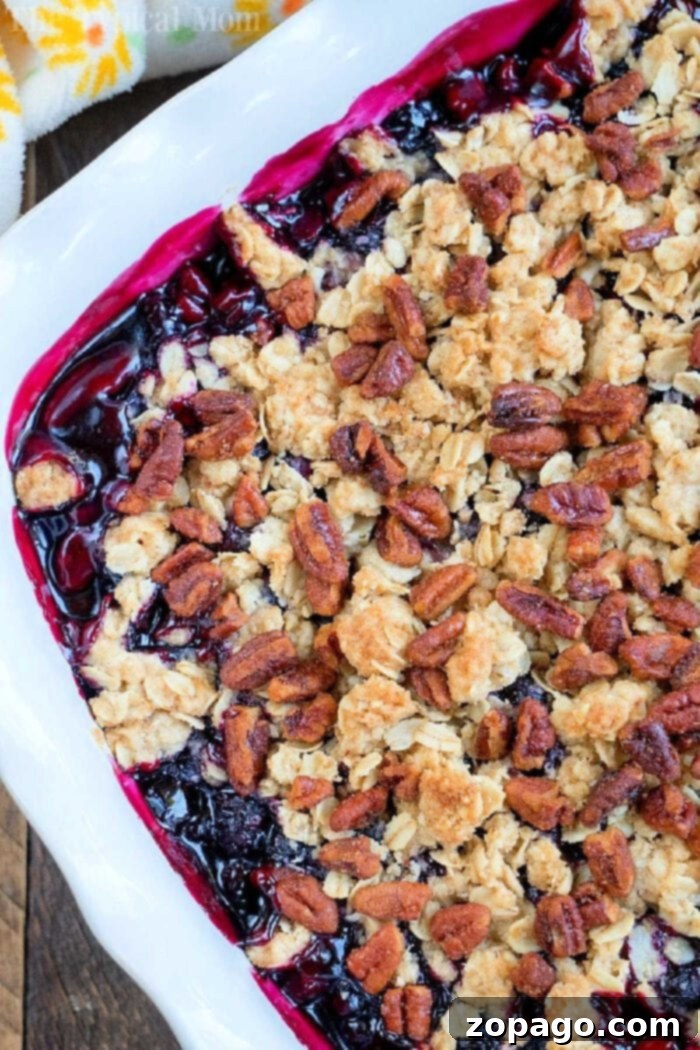 Delicious Homemade Huckleberry Cobbler Recipe A freshly baked Huckleberry Cobbler in a white dish, garnished with fresh huckleberries and mint leaves, ready to be served.