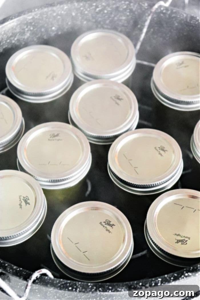 Rapid Pressure Cooker Jam 3 canning