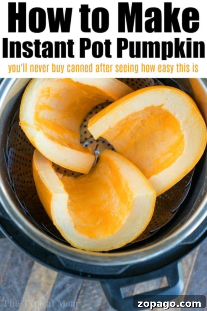 Homemade pumpkin puree is a versatile ingredient for countless recipes. Instant Pot pumpkin puree being scooped