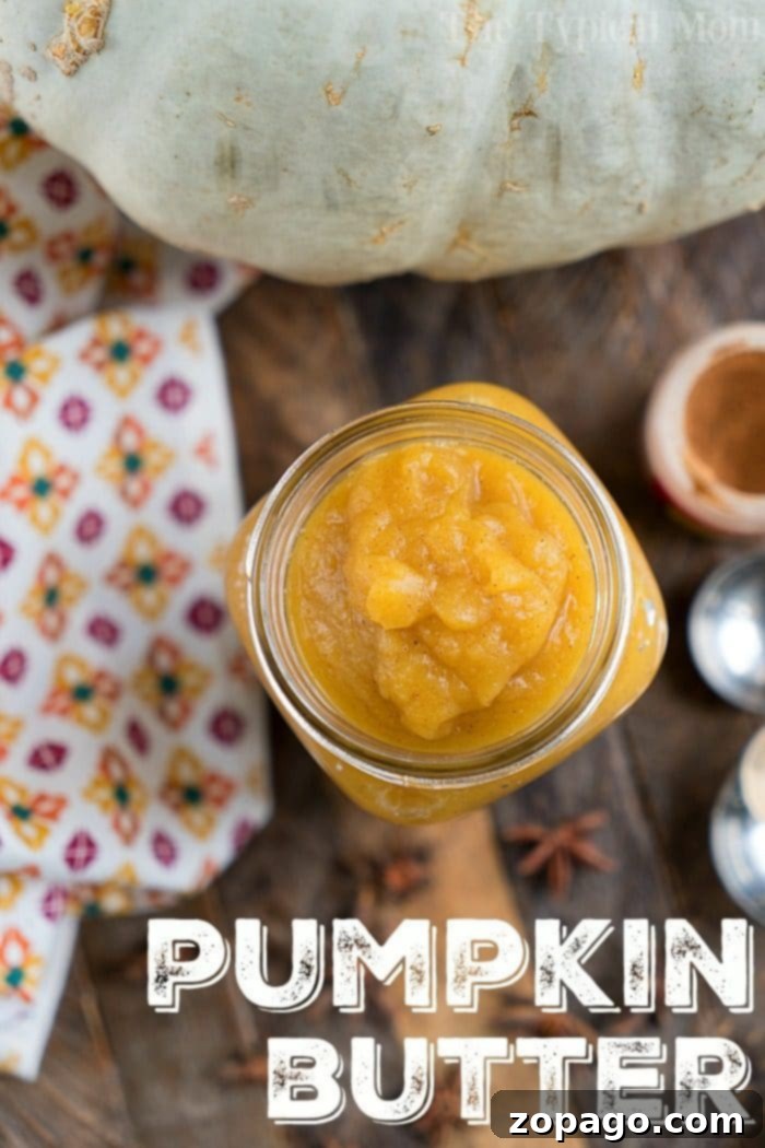 Quickly cook fresh pumpkin and transform it into the most delicious Instant Pot homemade pumpkin butter in just 20 minutes! Ideal as a spread for toast and much more! #instantpot #pressurecooker #pumpkin #pumpkinbutter #homemade #fresh A top-down view of a jar of homemade pumpkin butter, garnished with cinnamon sticks and a small spoon.