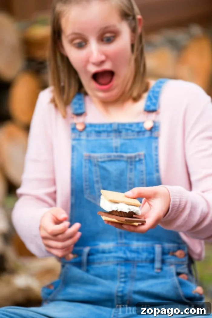13 Simple S'mores Dessert Ideas 2 Delicious oven-baked s'mores dessert recipes, featuring marshmallow, chocolate, and graham crackers for an indoor treat.
