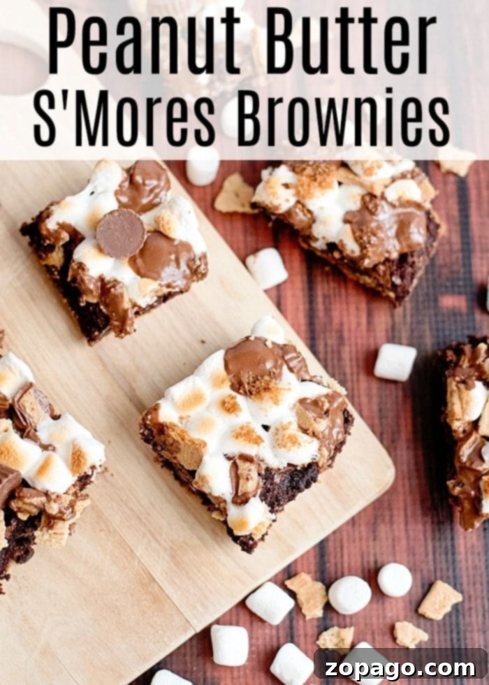 13 Simple S'mores Dessert Ideas 8 Decadent s'mores brownies featuring a graham cracker crust, fudgy brownie, and toasted marshmallow topping.