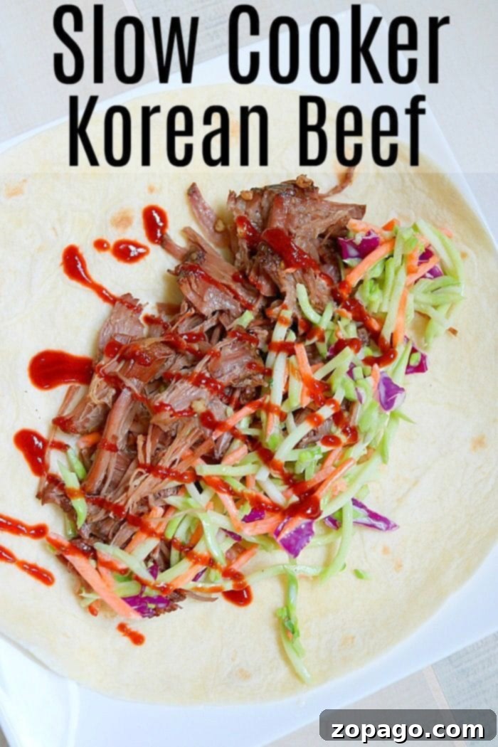 Korean Beef Slow Cooker Recipe 4 A bowl of slow cooker Korean beef garnished with sesame seeds and green onions.