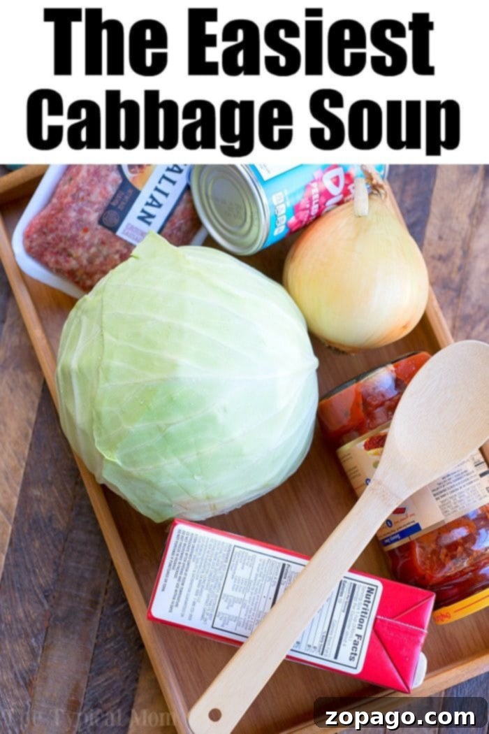Ingredients for Easy Pressure Cooker Cabbage Soup A flat lay of ingredients for easy cabbage soup, including a head of cabbage, ground sausage, tomato sauce, diced tomatoes, and beef broth.