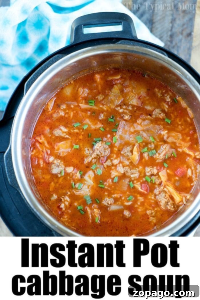 Hearty Pressure Cooker Cabbage Soup for Dinner A close-up of Pressure Cooker Cabbage Soup with chunks of cabbage, ground meat, and rice in a rustic bowl.
