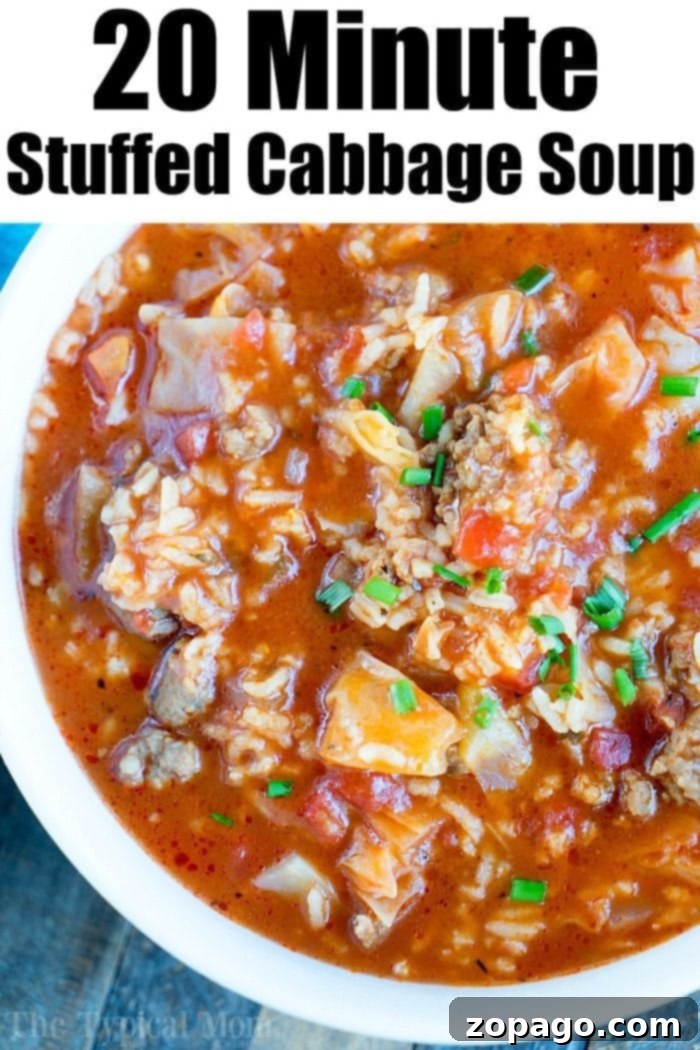 A comforting bowl of pressure cooker cabbage soup, perfect for a chilly evening. Instant Pot Stuffed Cabbage Soup in a Bowl
