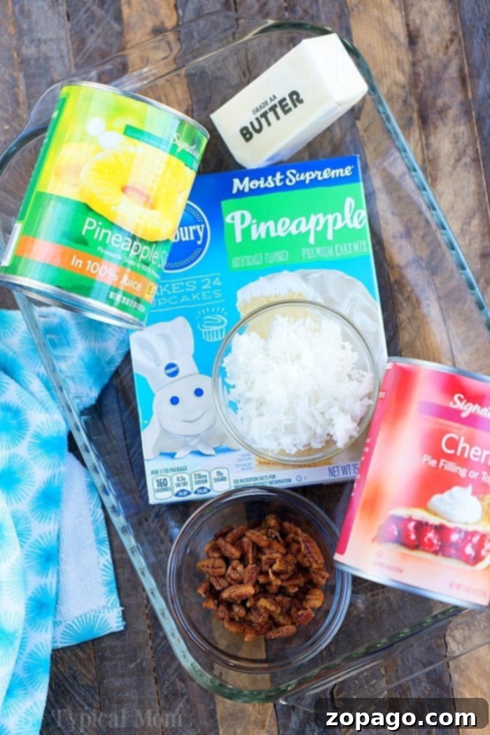 Easy Cherry Pineapple Dump Cake Recipe - A Delightful Canned Fruit Dessert Golden brown Cherry Pineapple Dump Cake in a baking dish, ready to be served, showcasing its juicy fruit layers and tender cake texture.