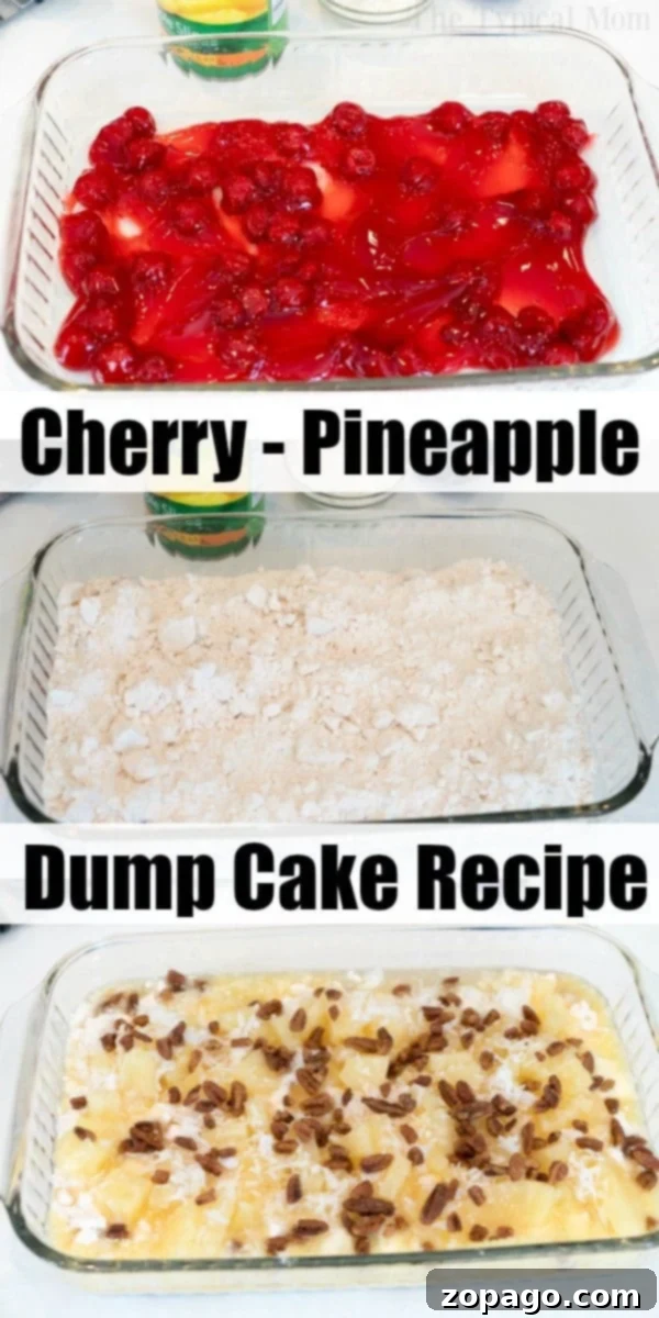 Easy Dump Cake with Cherries and Pineapples Scoops of Cherry Pineapple Dump Cake served in bowls, topped with a dollop of vanilla ice cream, showing its warm, gooey texture.
