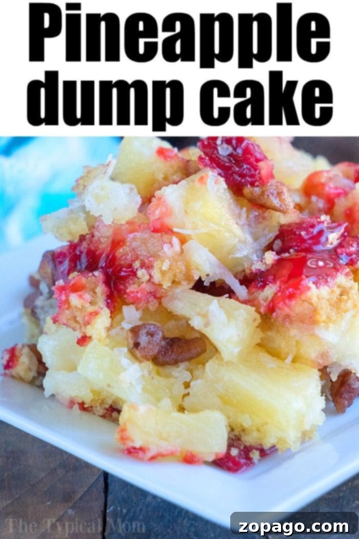 Delicious Cherry Pineapple Dump Cake Recipe A large serving of Cherry Pineapple Dump Cake on a plate, garnished with fresh cherries and a sprinkle of coconut, highlighting its rich textures.