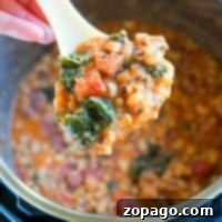 Close-up of a ladle with Hoppin' John featuring tomatoes and greens, held over an Instant Pot.