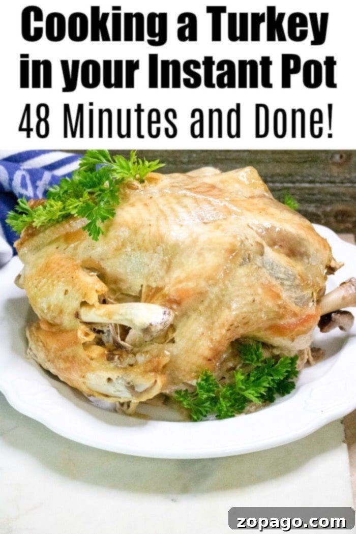 Pressure cooker turkey is the best in your Instant Pot! It's easier than you think and frees up your oven on Thanksgiving Day! Close-up of a cooked turkey in an Instant Pot, highlighting its tender texture