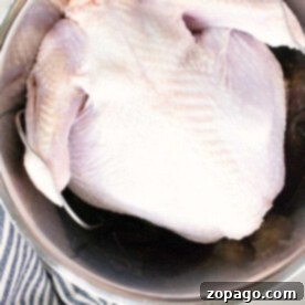 Raw whole turkey in a pressure cooker, with a striped kitchen towel beside it.