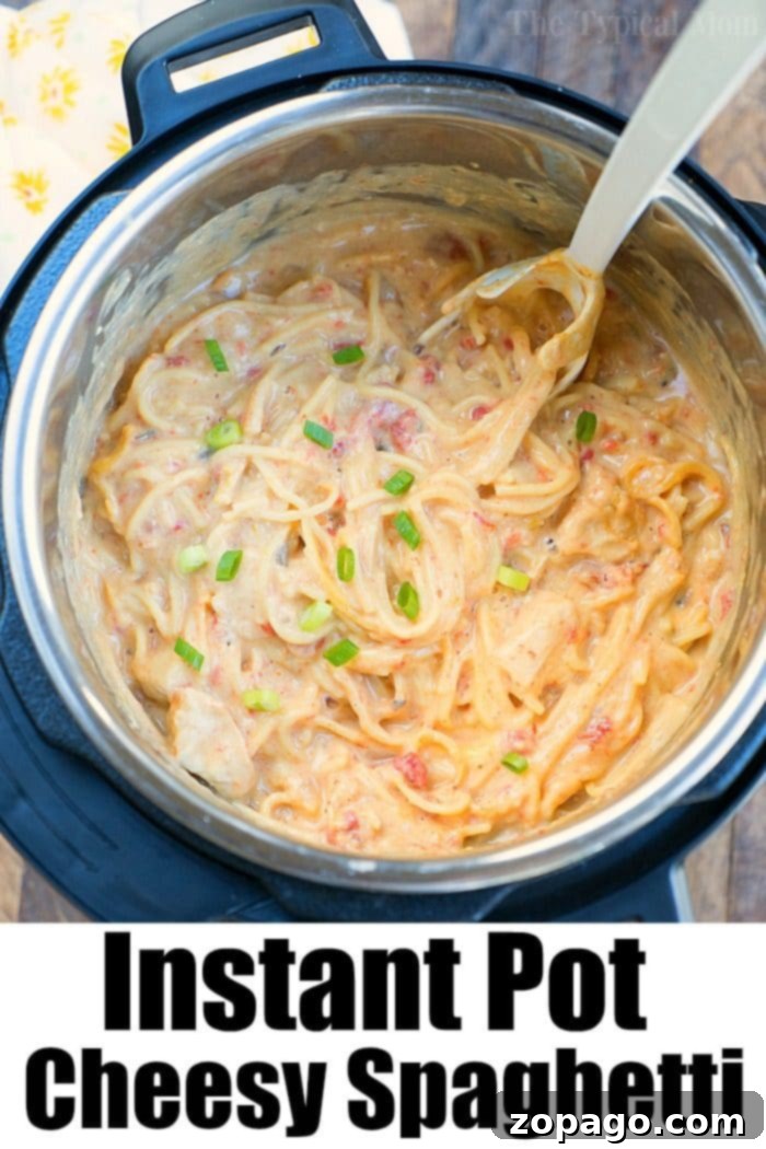 This pressure cooker cheesy chicken spaghetti was a real hit for dinner tonight! If you love easy Instant Pot recipes this is one you'll want to make. #instantpot #pressurecooker #cheesy #chicken #spaghetti #creamy #instantpotrecipes #thetypicalmom A bowl of Pressure Cooker Cheesy Chicken Spaghetti, showcasing the rich, melted Velveeta cheese sauce and tender chicken.