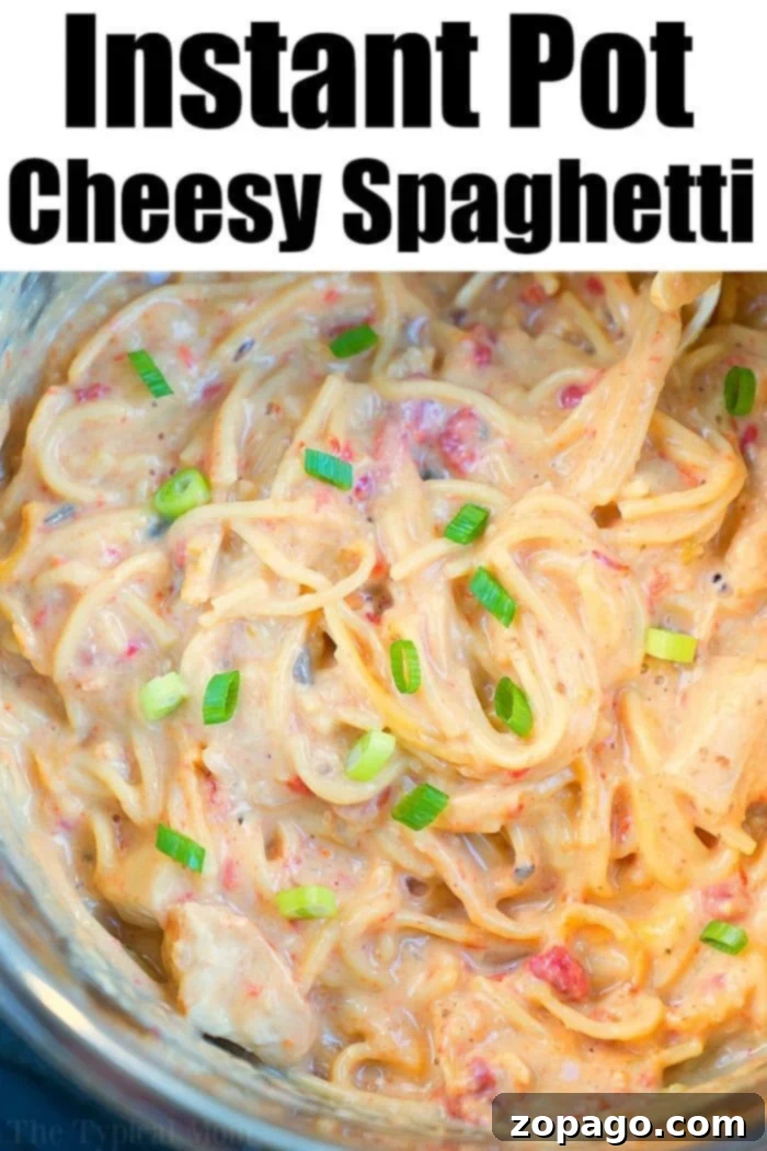 Instant Pot cheesy chicken spaghetti was a real hit for dinner tonight! If you love easy Instant Pot recipes this is one you'll want to make. #instantpot #pressurecooker #cheesy #chicken #spaghetti #creamy #instantpotrecipes #thetypicalmom A serving of Pressure Cooker Cheesy Chicken Spaghetti, made with shredded cheese, garnished with fresh parsley.