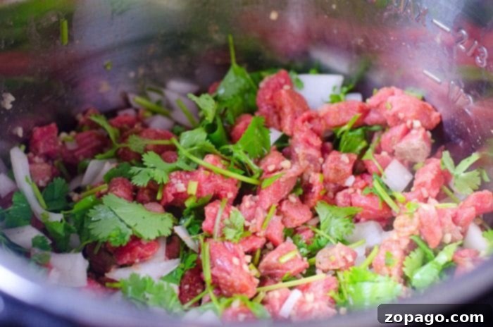 Instant Pot Taco Magic 5 Delicious Instant Pot street tacos with various fillings
