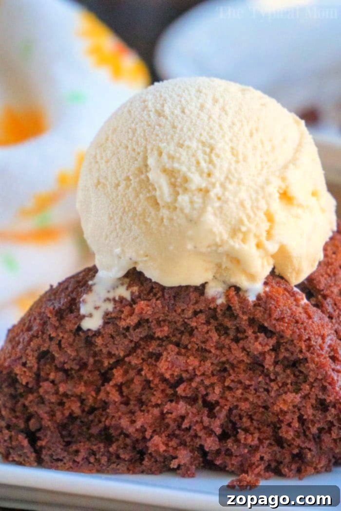 Effortless 2 Ingredient Root Beer Cake 7 A delectable slice of root beer soda cake served on a plate, highlighting its moist texture.